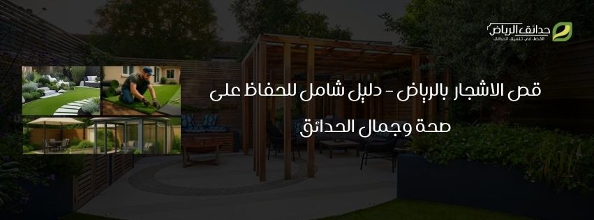 قص الاشجار بينبع – دليل شامل للحفاظ على صحة وجمال الحدائق