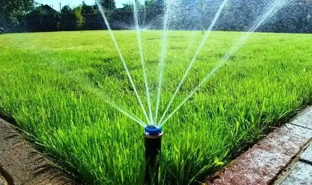 صيانة حدائق